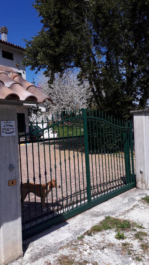 Appartamento Il Ciliegio del Pellegrino Gubbio Esterno foto