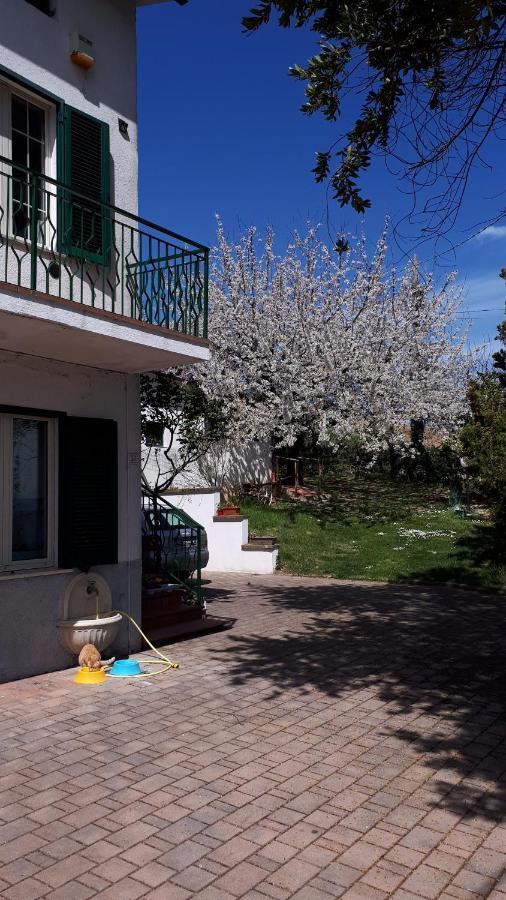 Appartamento Il Ciliegio del Pellegrino Gubbio Esterno foto