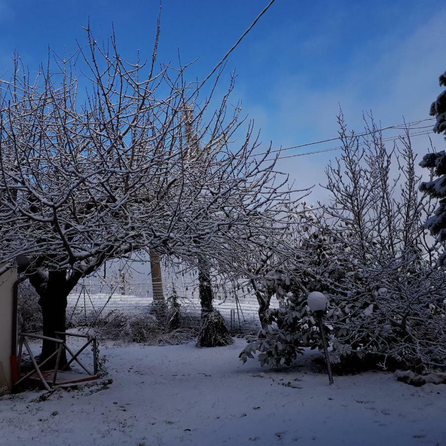 Appartamento Il Ciliegio del Pellegrino Gubbio Esterno foto